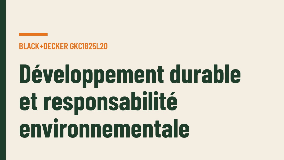 Développement durable et responsabilité environnementale