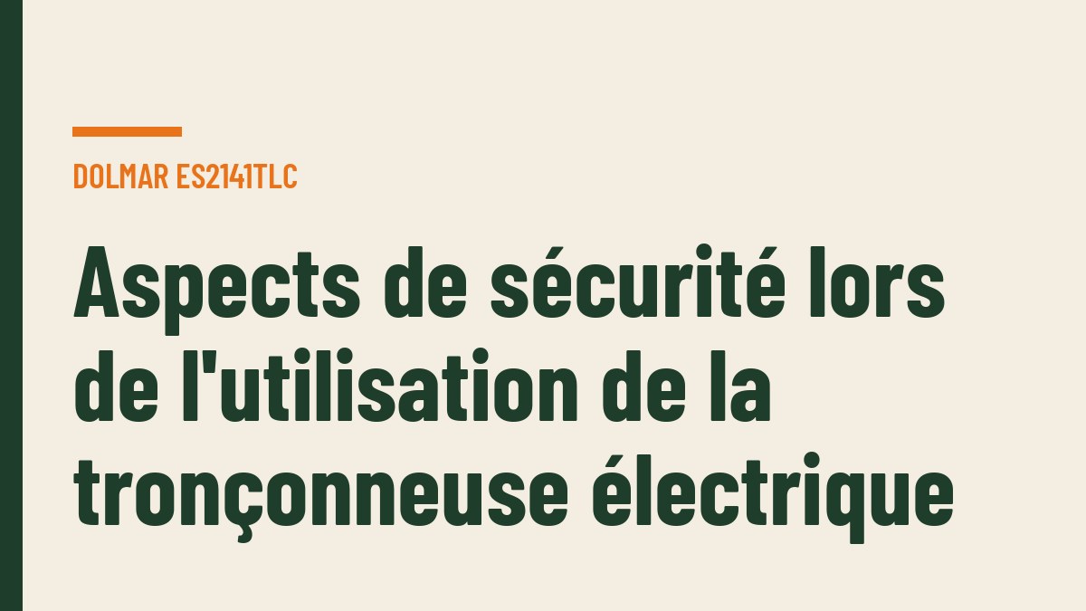 Aspects de sécurité lors de l'utilisation de la tronçonneuse électrique