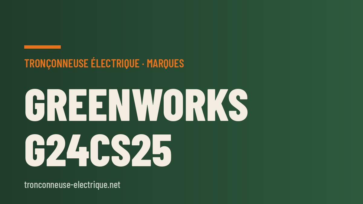 Greenworks G24CS25