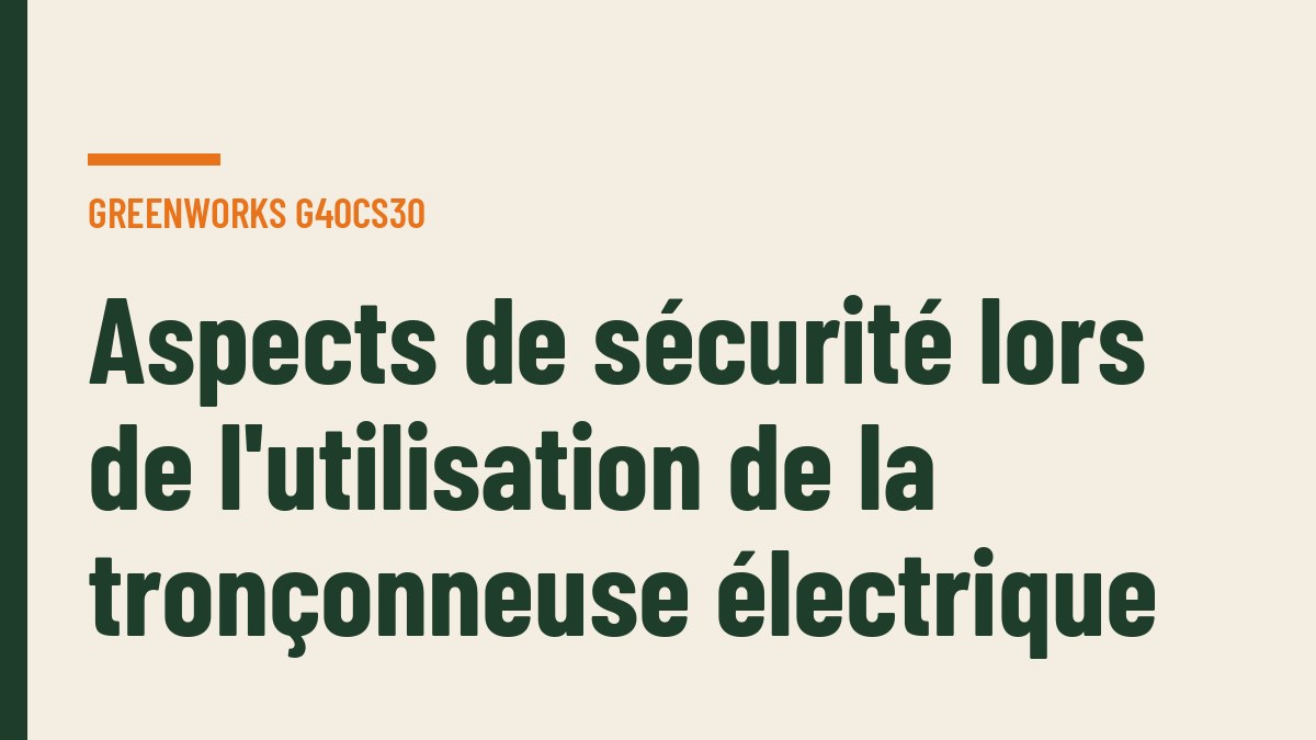 Aspects de sécurité lors de l'utilisation de la tronçonneuse électrique