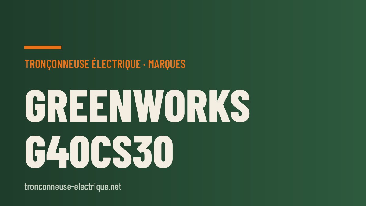 Greenworks G40CS30