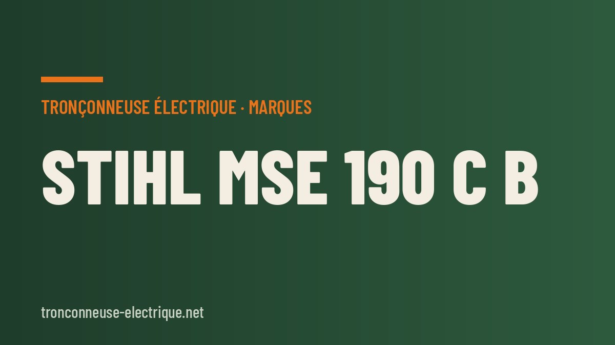 STIHL MSE 190 C B