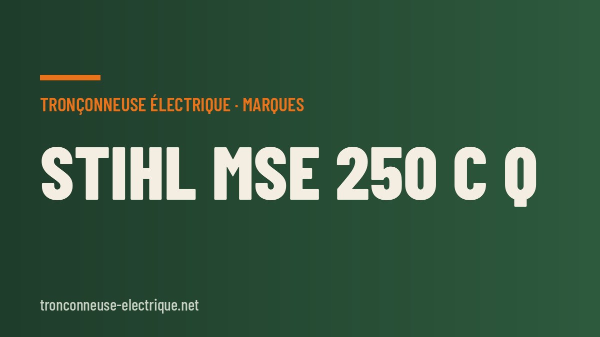 STIHL MSE 250 C Q