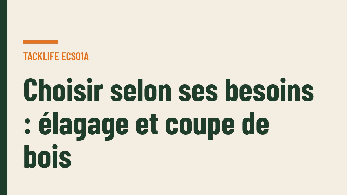 Choisir selon ses besoins : élagage et coupe de bois