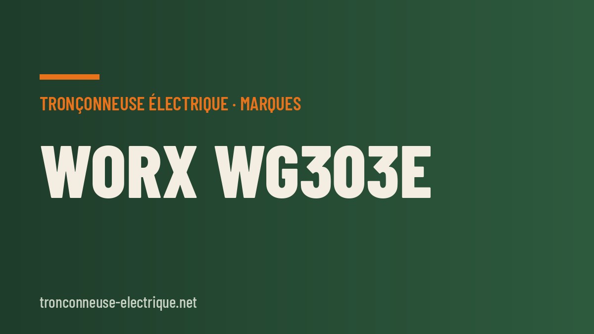 Worx WG303E